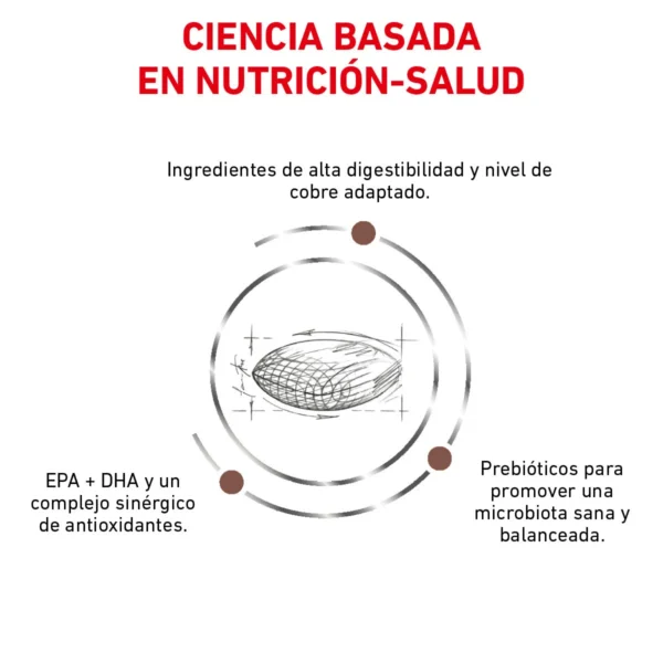 Royal Canin Veterinary Diet Alimento Seco Salud Hepática para Perro Adulto, 12 kg - Image 4