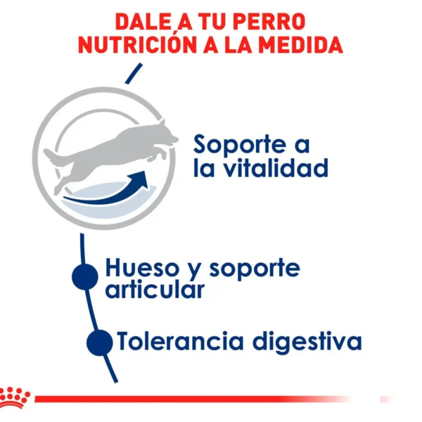 Royal Canin Alimento Seco para Perro Senior Raza Grande, 13.6 kg - Image 5