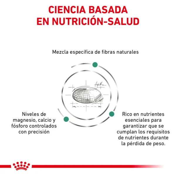Royal Canin Veterinary Diet Alimento Seco Soporte de Saciedad para Perro Adulto Raza Pequeña, 3 kg - Image 5