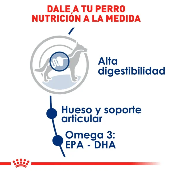 Royal Canin Alimento Seco para Perro Adulto Raza Grande, 13.6 kg - Image 6