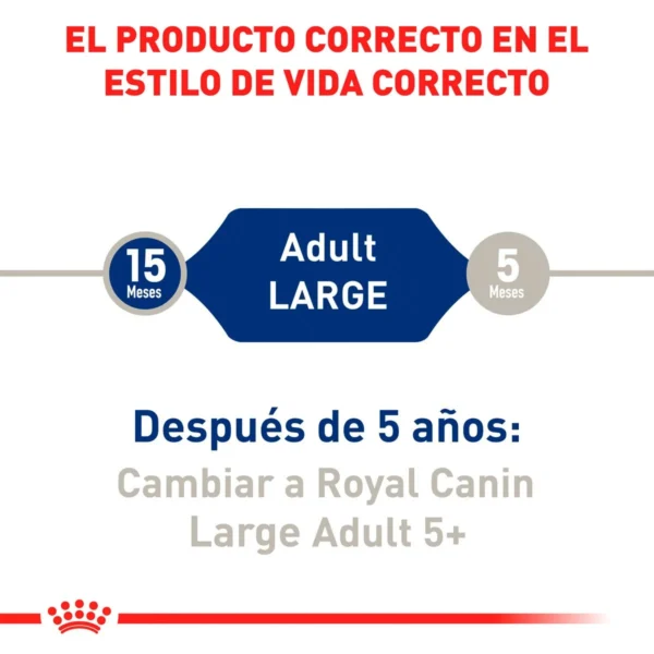 Royal Canin Alimento Seco para Perro Adulto Raza Grande, 13.6 kg - Image 3