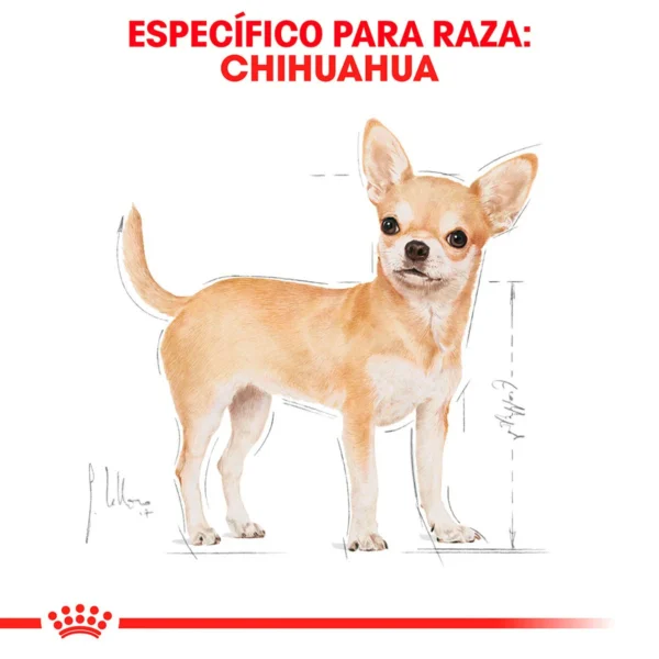 Royal Canin Alimento Seco para perro Adulto Raza Chihuahua, 4.5 kg - Image 5