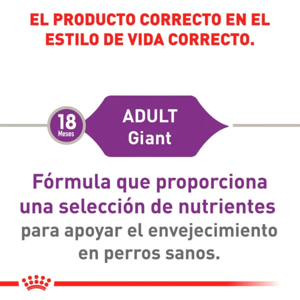 Royal Canin Alimento Seco para Perro Adulto Raza Gigante, 13.6 kg - Image 3