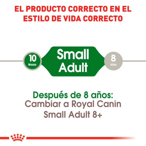 Royal Canin Alimento Seco para Perro Adulto Raza Pequeña, 6.3 kg - Image 3