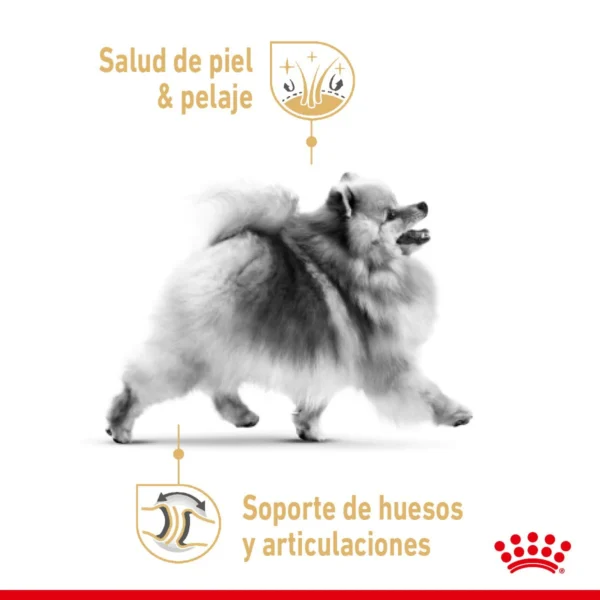 Royal Canin Alimento Seco para Perro Adulto Raza Pomerania, 4.54 kg - Image 3