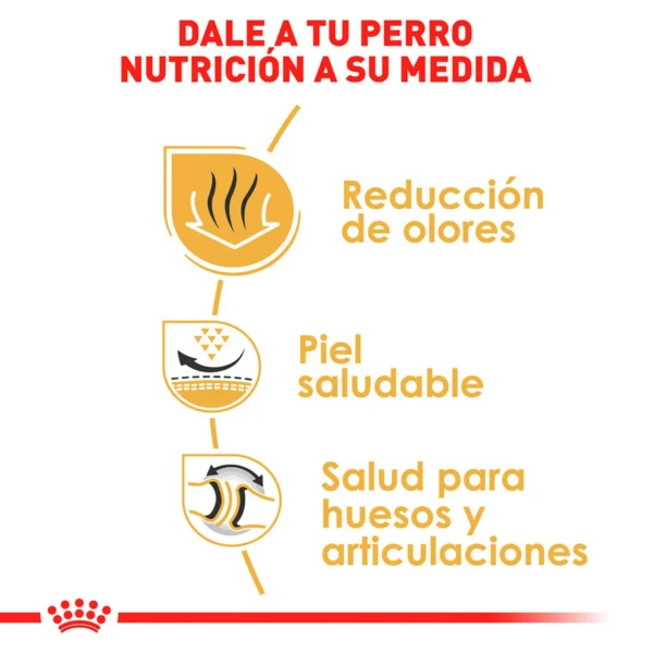 Royal Canin Alimento Seco para perro Adulto Raza Bulldog, 13.6 kg - Image 3
