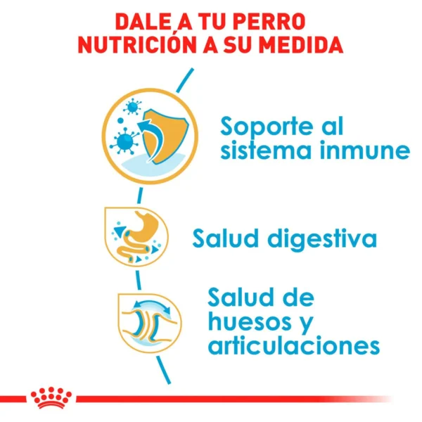Royal Canin Alimento Seco para Cachorro Raza Bulldog, 13.6 kg - Image 6