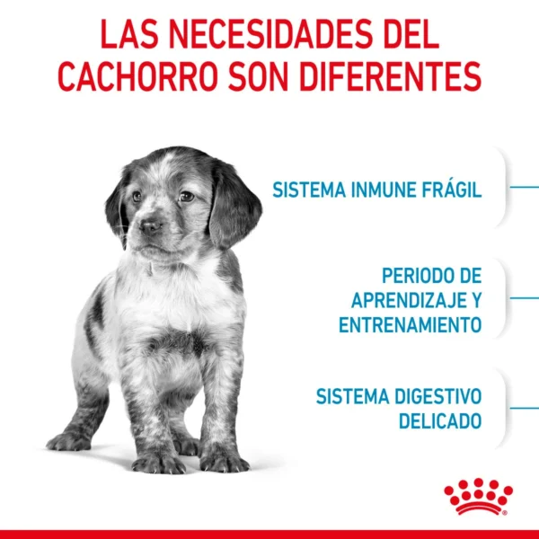Royal Canin Alimento Seco para Cachorro Raza Mediana, 13.6 kg - Image 5