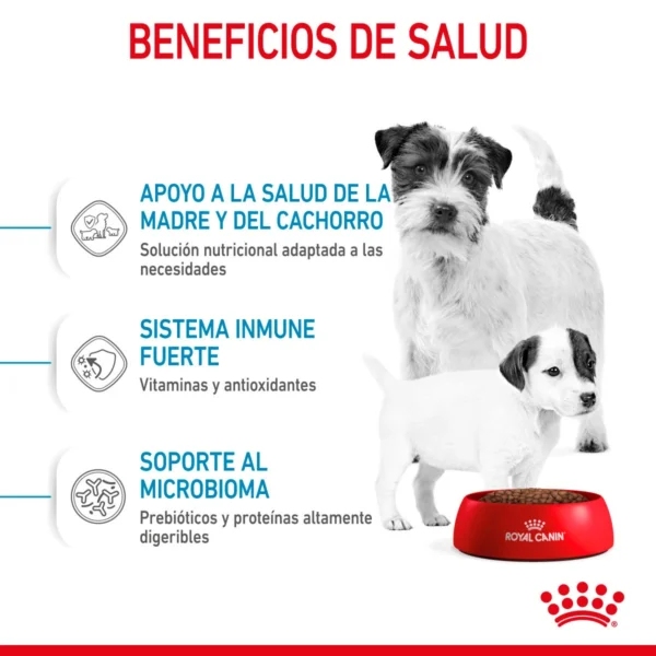Royal Canin Small Starter Mother & BabyDog Alimento Seco para Gestación/ Lactancia o Destete para Perro, 1.14 kg - Image 6