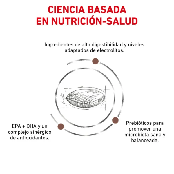 Royal Canin Prescripción Alimento Seco Gastrointestinal Bajo en Grasa para Perro Adulto, 13 kg - Image 4