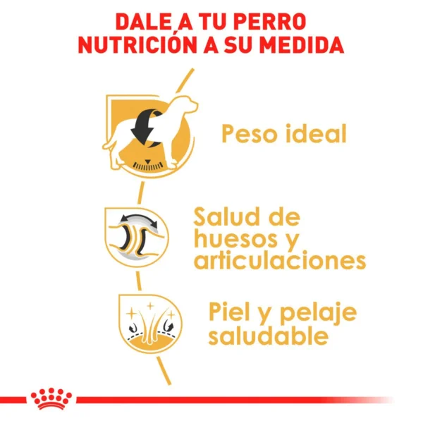 Royal Canin Alimento Seco para perro Adulto Raza Labrador Retriever, 13.6 kg - Image 5