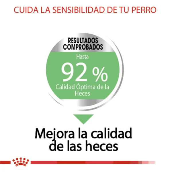 Royal Canin Special Alimento Seco para Perro Adulto con Estomago Sensible Raza Pequeña, 1.6 kg - Image 3