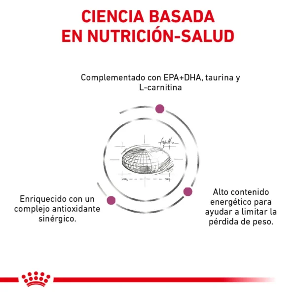 Royal Canin Veterinary Diet Alimento Seco para Salud Cardiaca para Perro Todas las Edades, 8 kg - Image 6
