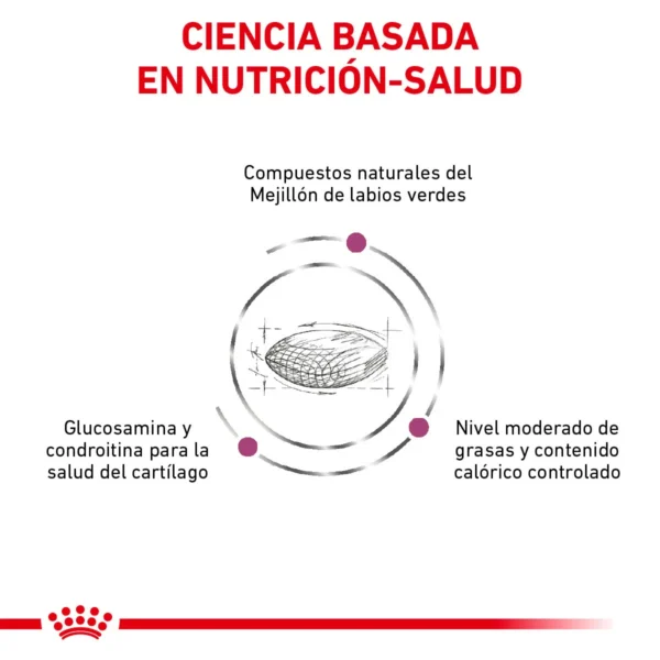 Royal Canin Veterinary Diet Alimento Seco Soporte para Movilidad para Perro Adulto Raza Grande, 12 kg - Image 4