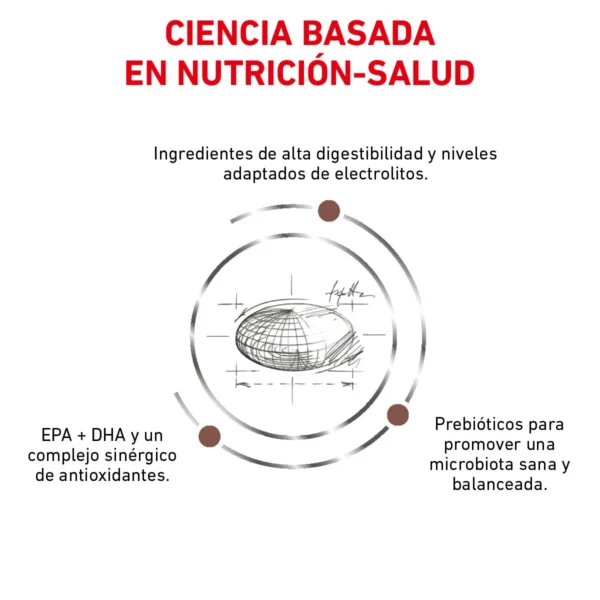 Royal Canin Prescripción Alimento Seco Gastrointestinal Alto en Energía para Perro Adulto, 10 kg - Image 5