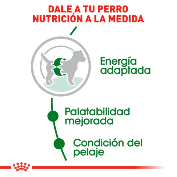 Royal Canin Alimento Seco para Perro Adulto Raza Pequeña, 6.3 kg - Image 5