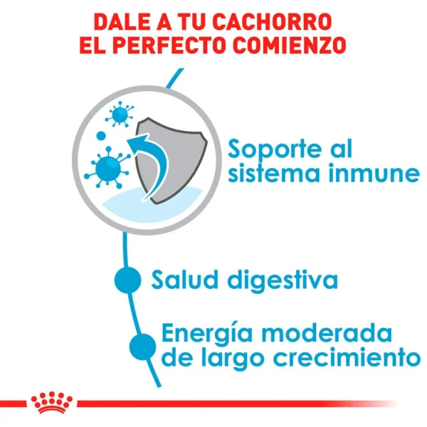 Royal Canin Alimento Seco para Cachorro Raza Grande, 13.6 kg - Image 5