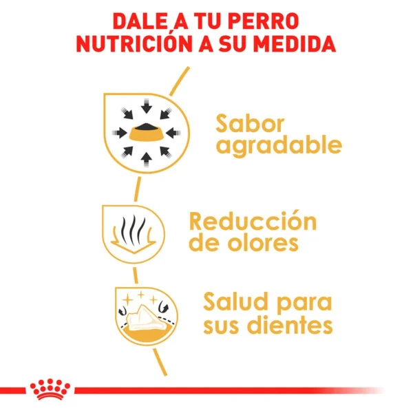 Royal Canin Alimento Seco para perro Adulto Raza Chihuahua, 4.5 kg - Image 4