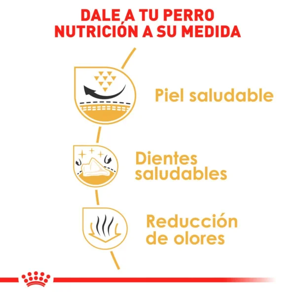 Royal Canin Alimento Seco para Perro Adulto Raza Shih Tzu, 4.5 kg - Image 5