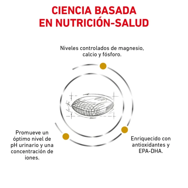 Royal Canin Veterinary Diet Alimento Seco para Tracto Urinario para Perro Adulto, 3 kg - Image 5