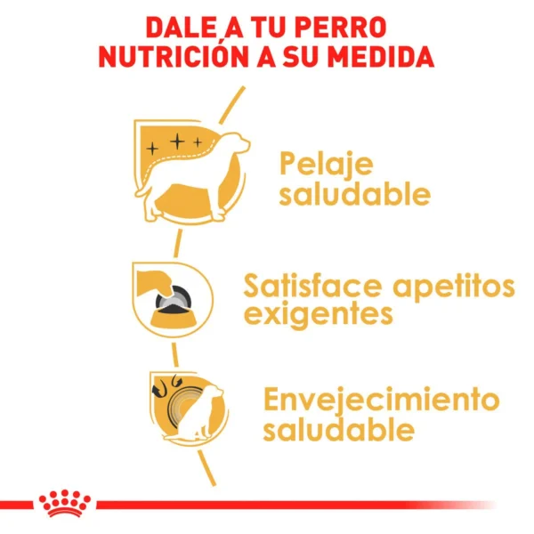 Royal Canin Alimento Seco para Perro Adulto Raza Yorkshire Terrier, 4.5 kg - Image 6
