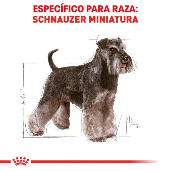 Royal Canin Alimento Seco para perro Adulto Raza Schnauzer Miniatura, 4.5 kg - Image 5