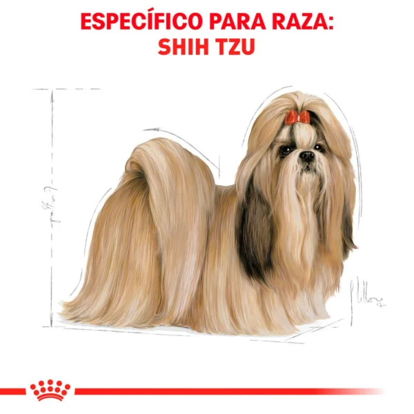 Royal Canin Alimento Seco para Perro Adulto Raza Shih Tzu, 4.5 kg - Image 6