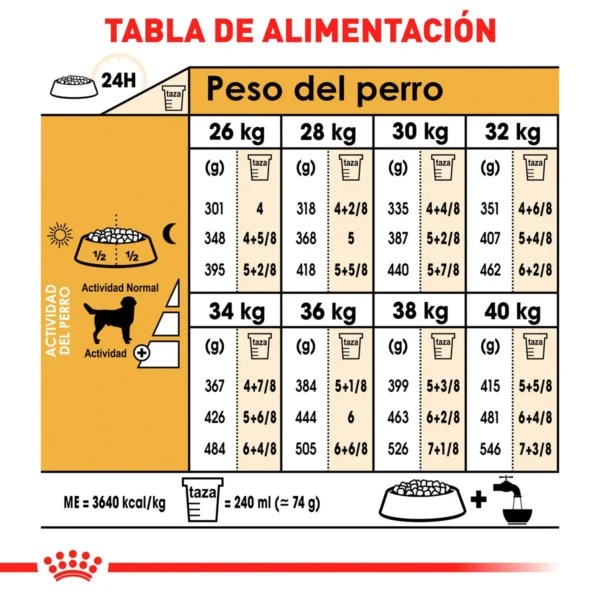 Royal Canin Alimento Seco para perro Adulto Raza Labrador Retriever, 13.6 kg - Image 4