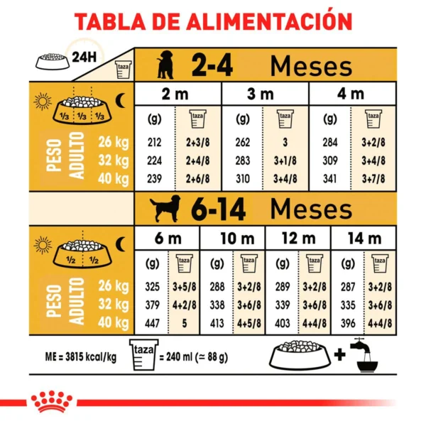 Royal Canin Alimento Seco para Cachorro Raza Labrador Retriever, 13.6 kg - Image 6