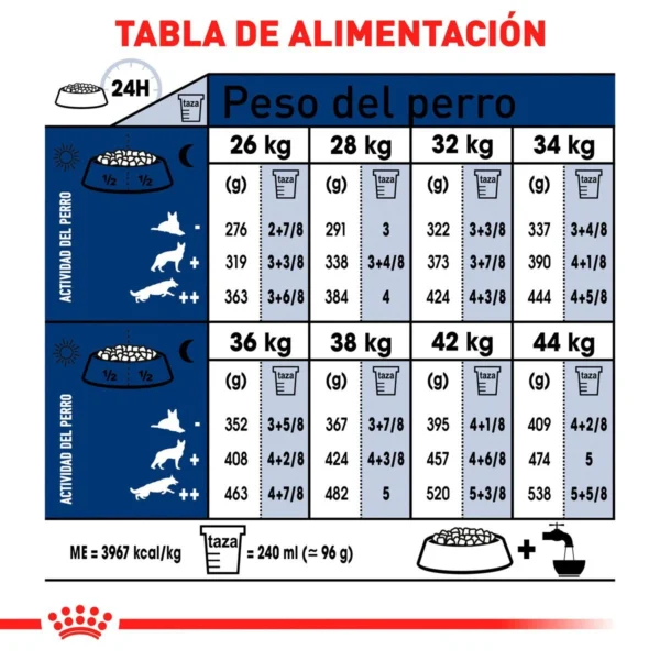 Royal Canin Alimento Seco para Perro Adulto Raza Grande, 13.6 kg - Image 4