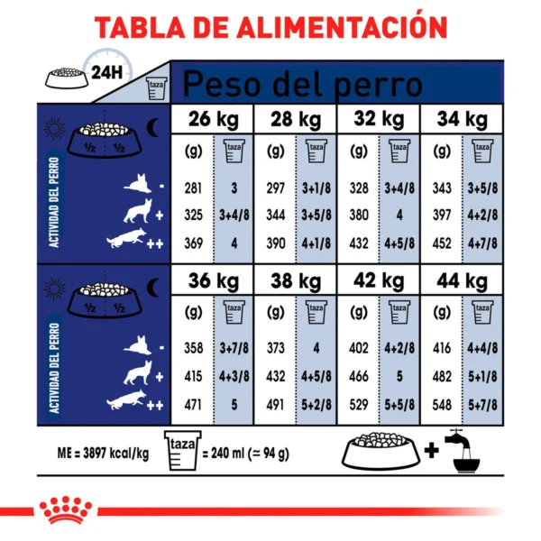 Royal Canin Alimento Seco para Perro Senior Raza Grande, 13.6 kg - Image 4