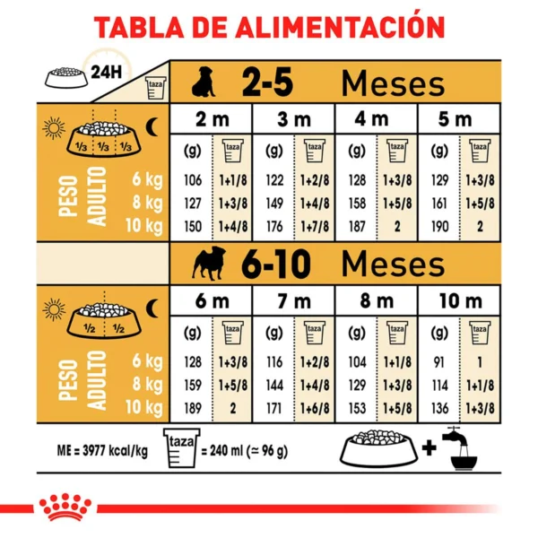Royal Canin Alimento Seco para Cachorro Raza Pug, 1.1 kg - Image 4