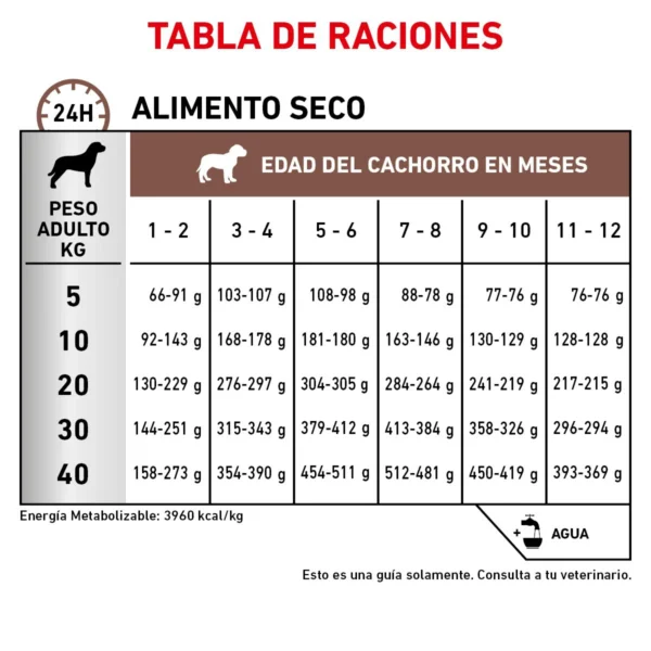 Royal Canin Veterinary Diet Alimento Seco Gastrointestinal para Cachorro, 4 kg - Image 4