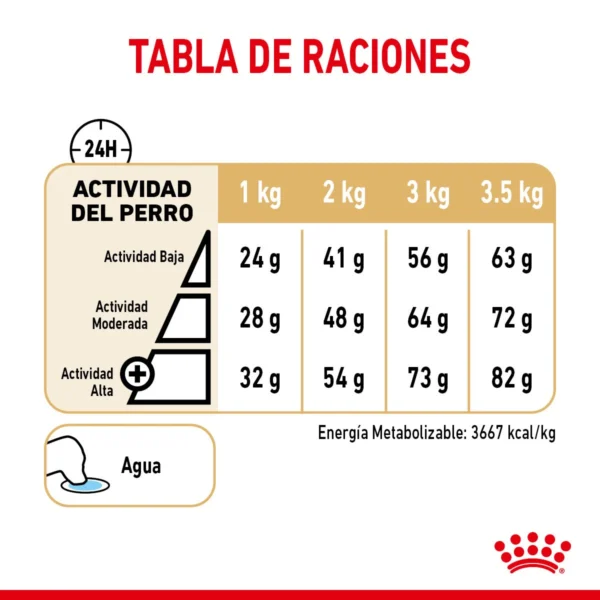 Royal Canin Alimento Seco para Perro Adulto Raza Pomerania, 4.54 kg - Image 4