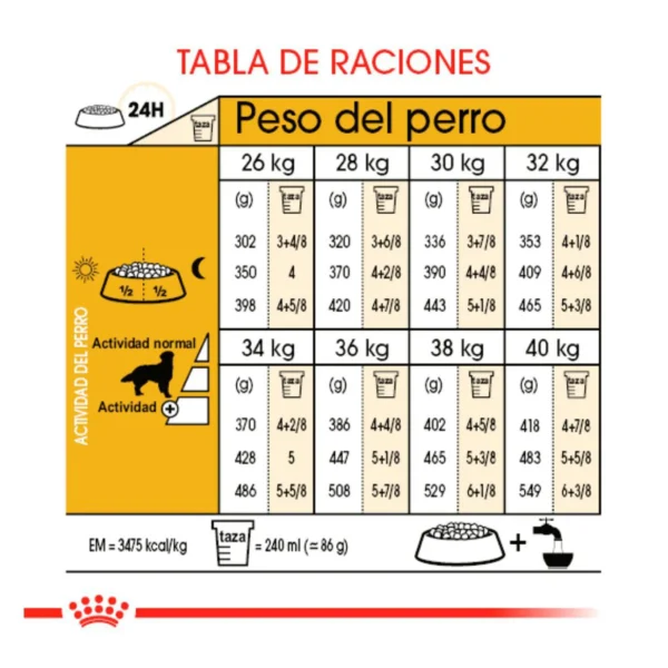 Royal Canin Alimento Seco para Perro Adulto Raza Golden Retriever, 13.6 kg - Image 4