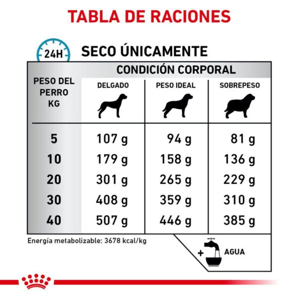 Royal Canin Veterinary Diet Alimento Seco Alergía Alimentaria Severa para Perro Adulto, 9 kg - Image 5