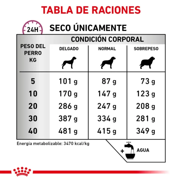 Royal Canin Veterinary Diet Alimento Seco Soporte para Movilidad para Perro Adulto Raza Grande, 12 kg - Image 5