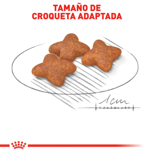 Royal Canin Alimento Seco para Perro Adulto Raza Pequeña, 6.3 kg - Image 2