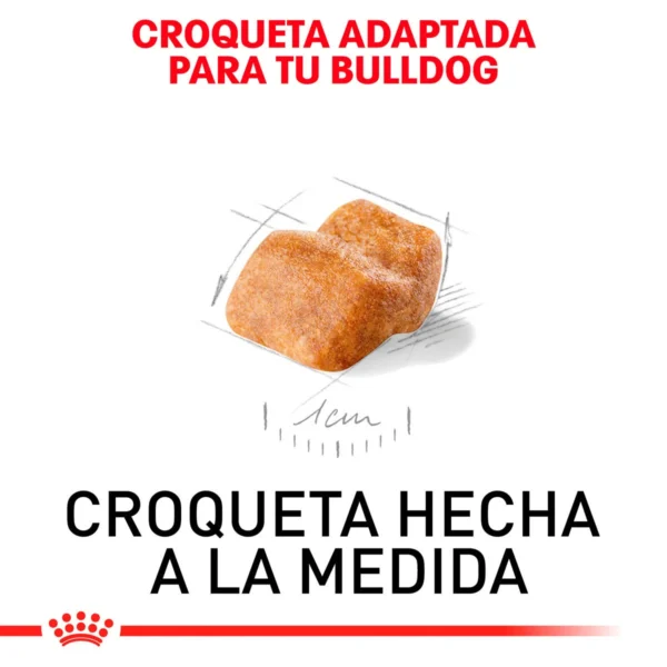Royal Canin Alimento Seco para Cachorro Raza Bulldog, 13.6 kg - Image 2