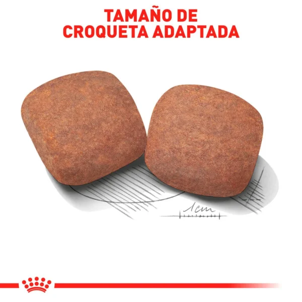 Royal Canin Alimento Seco para Perro Adulto Raza Gigante, 13.6 kg - Image 2