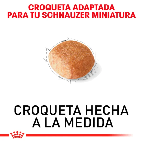 Royal Canin Alimento Seco para perro Adulto Raza Schnauzer Miniatura, 4.5 kg - Image 2