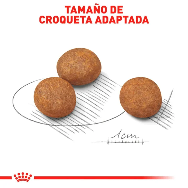 Royal Canin Alimento Seco para Cachorro Raza Grande, 13.6 kg - Image 2