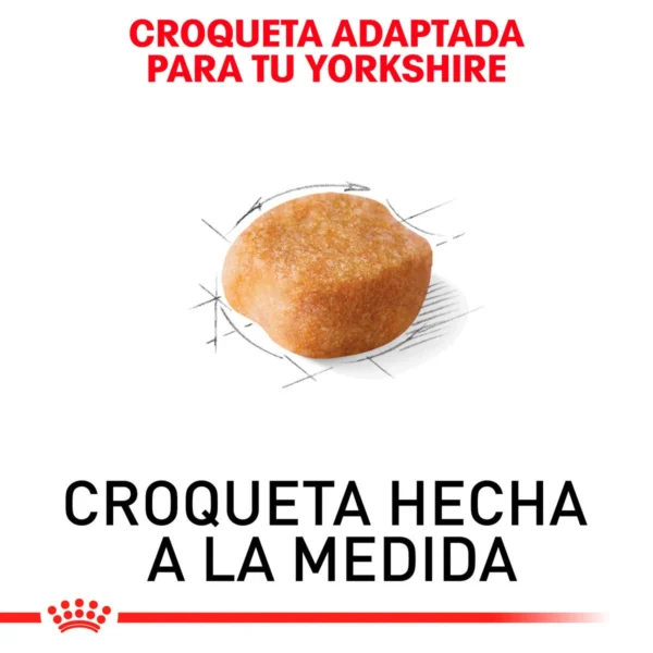 Royal Canin Alimento Seco para Perro Adulto Raza Yorkshire Terrier, 4.5 kg - Image 3