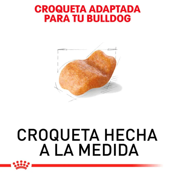 Royal Canin Alimento Seco para perro Adulto Raza Bulldog, 13.6 kg - Image 2