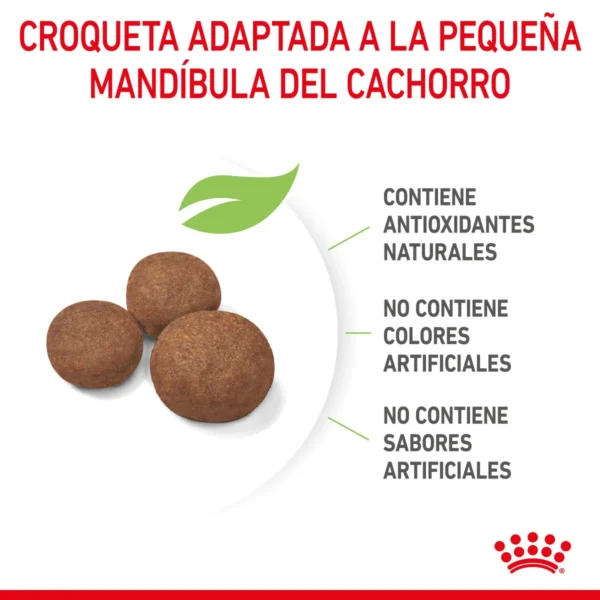 Royal Canin Alimento Seco para Cachorro Raza Mediana, 13.6 kg - Image 2