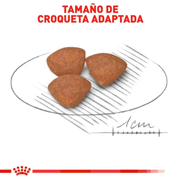 Royal Canin Alimento Seco para Cachorro Raza Pequeña Receta Pollo, 5.9 kg - Image 2