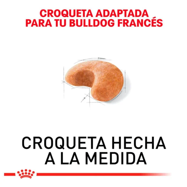 Royal Canin Alimento Seco para Perro Adulto Raza Bulldog Francés, 7.7 kg - Image 2