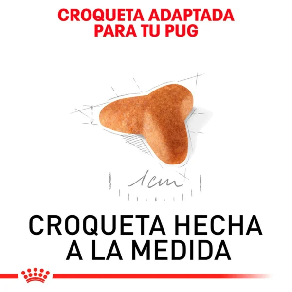 Royal Canin Alimento Seco para Cachorro Raza Pug, 1.1 kg - Image 2