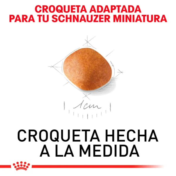 Royal Canin Alimento Seco para Cachorro Raza Schnauzer Miniatura, 1.1 kg - Image 2