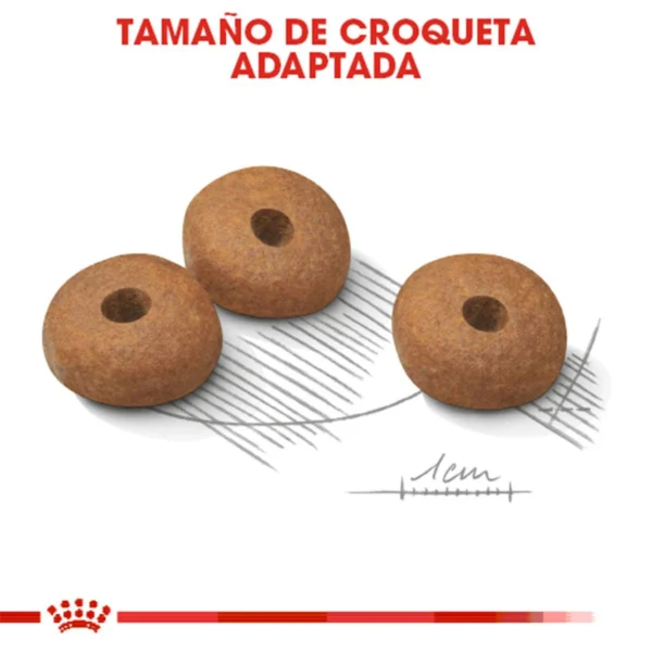 Royal Canin Weight Care Alimento Seco para Perro Adulto Control de Peso Raza Mediana, 13.6 kg - Image 2